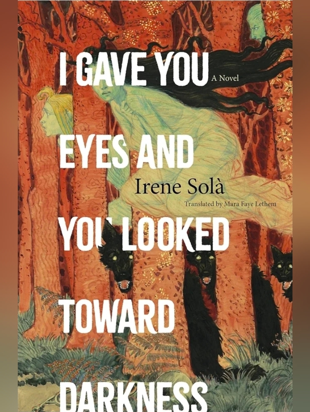 I Gave You Eyes and You Looked Toward Darkness by Irene Solà - Illustrated Cover